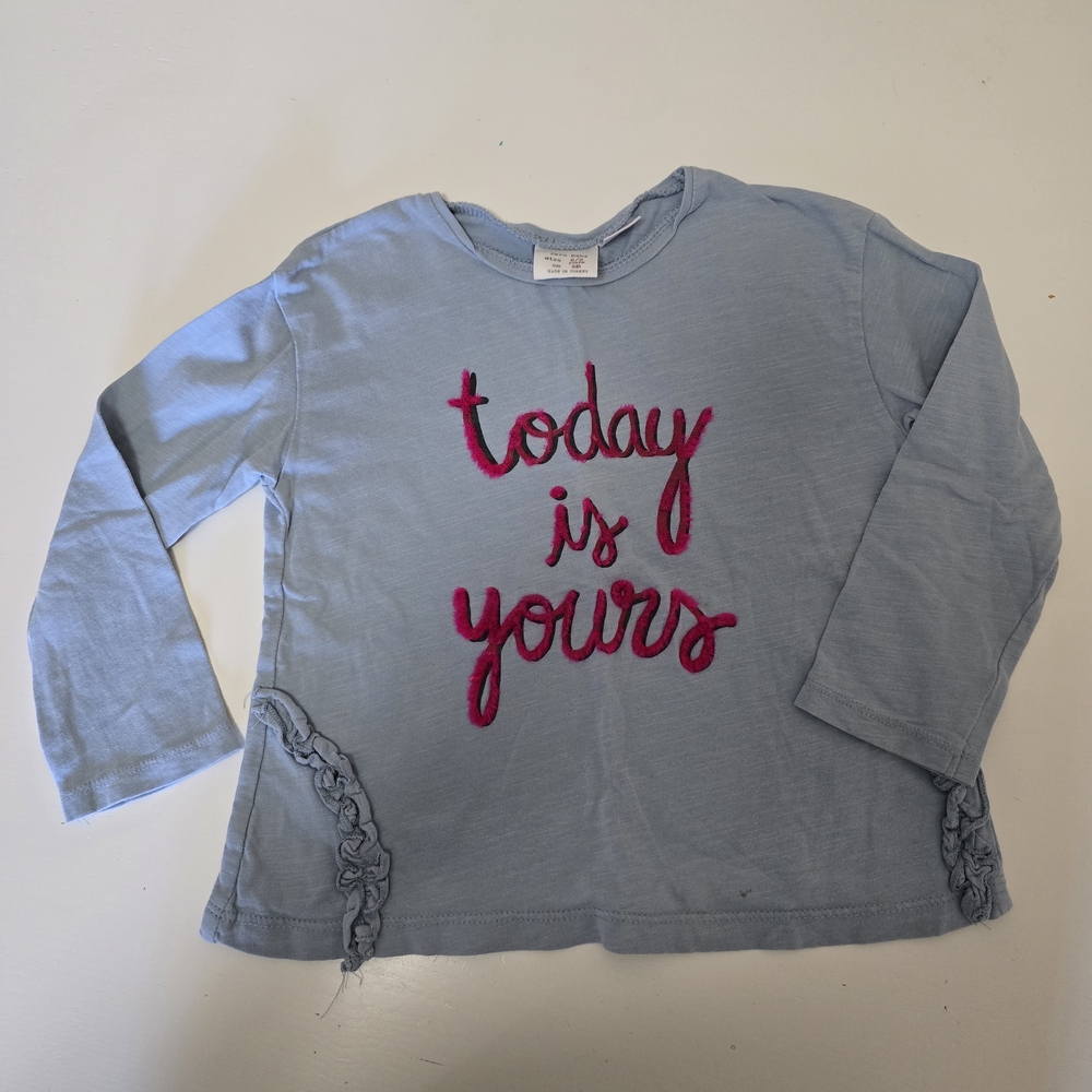 Zara Blue Kids Shirt with Pink Embroidery
